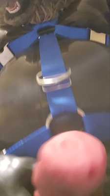 POV: Horny Latex Werewolf spots you...