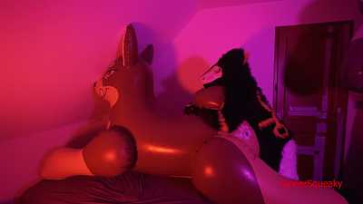 fuck phenodtoys dog in mursuit