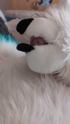 Fapping with soft paws