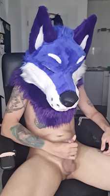 Apollo rubs again as much as possible😏