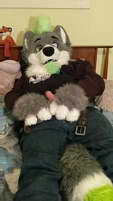 Deacon Wolf Rubbing and Pawing