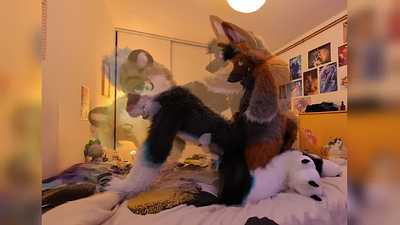 Orbit & FrenchSnep having a playful time together