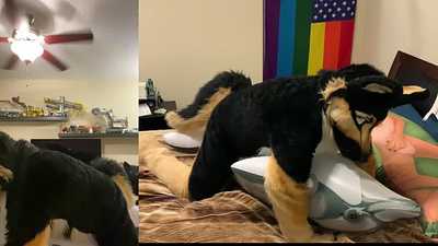 Jake and his dolphin