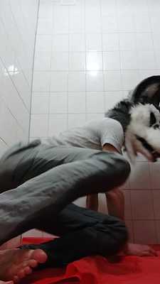 Having some fun with my piss