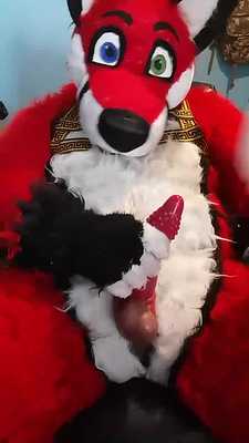 Fox fucking silicon masturbator with tiger sheath and cumming