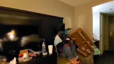 Sparks fucks a horse 