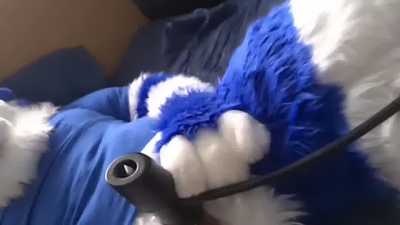 Tuqiri Fursuit Milking :3