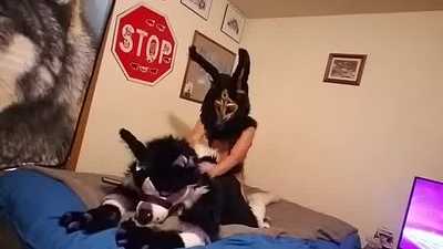 othieno plow nightshade