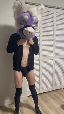 Purple Dog Strips