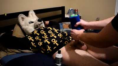 Sparks Jacks his wolf off