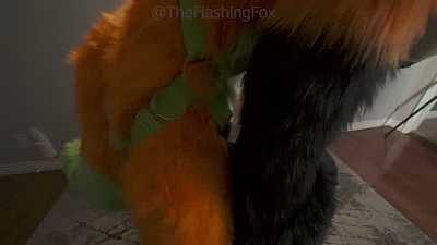 Fox Pawing Off With Fleshlight