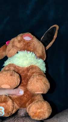 Eevee never disappoints