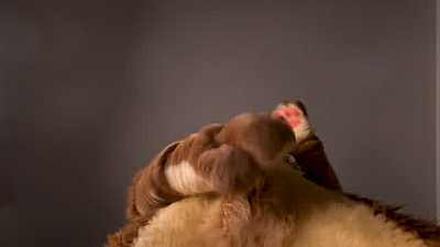 Cumming On Your Face