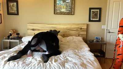 Horny Cats 2: Latex Boogaloo [@ThatOneTuxmew]