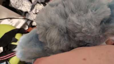 Femboy otter rides, sucks then fucked and filled with pups!!