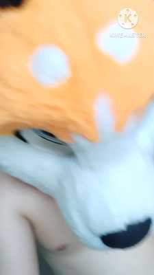 Chill time in my house 