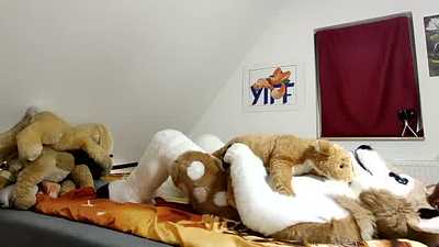 Hayel's plush introduction