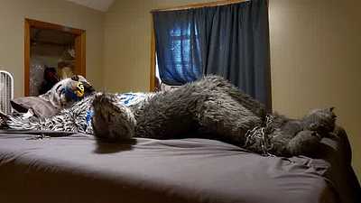 Restrained Werewolf