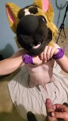 Marking the puppy