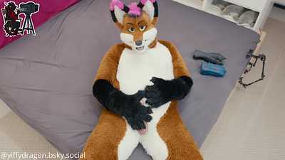 Solo Paw Time with Lixx