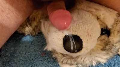 Cumming on my husky plushies muzzle