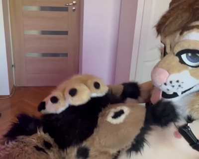 Lynx plasure other cat