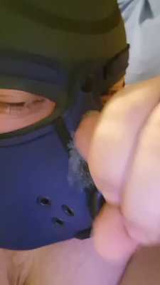 painting pups muzzle