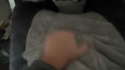 Horny raccoon pawing off.