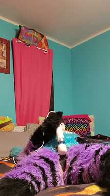 Skylerfoxx magic trick #1