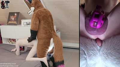 Broken Condom - full fox cum experience for the chastity dog