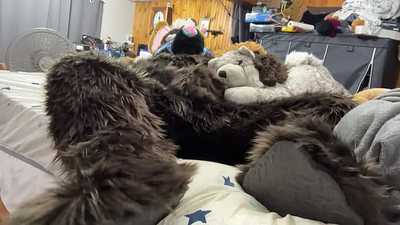 Plushy humping and facial cum in Murrsuit 