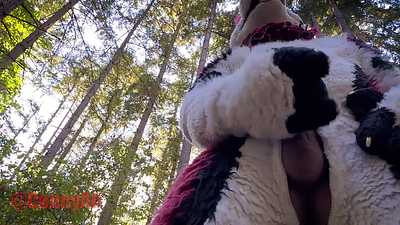 Pawwing in the forest