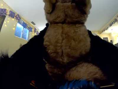 Coyote Fucking a Wolf Plush from his POV