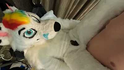 Fill a Fox