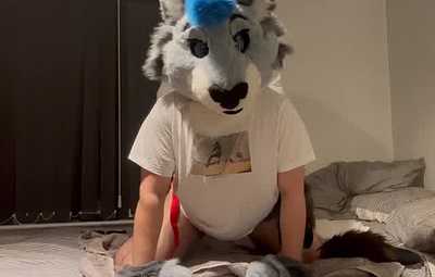 Big Cat gets a big Equine load