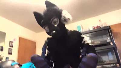 Pup getting railed for 8 minutes stright