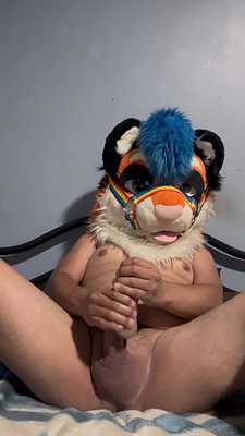 Jerkingoff Tiger 🐯