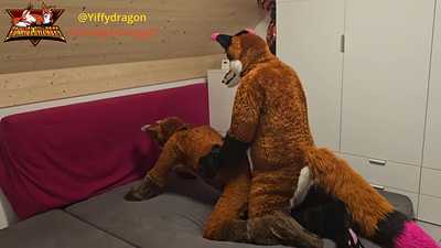 Naughty fox in heat, claimed and bred by his owner