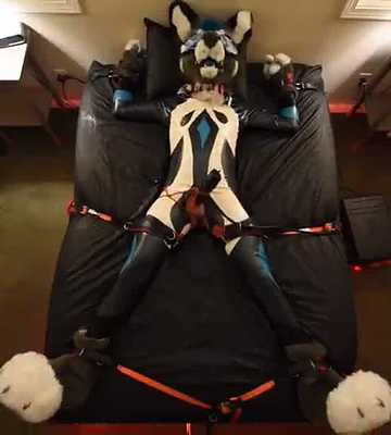 Palo rubbered, strapped and over stimmed until he cries