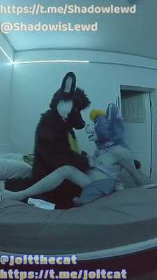 Jolt X Shadowlewd