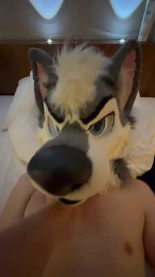 breeding motaros tailhole