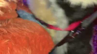 Ranger X Hound = Swing @ IFC