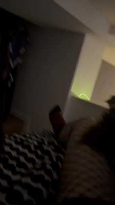 Cats And Dogs Can Get Along 🥴