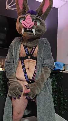 Weighted Harness Tug P2