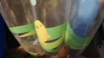 Abandoned Inflatable Pool