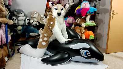 Inflatable Orca Fun
