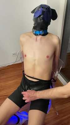 Silicon's Rubber Dog Pet Jupiter