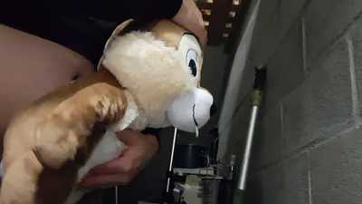 Stuffed Chip and Dale anal and cum