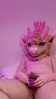 Deer tries new cockring