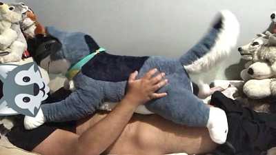 Aspen Wolf Plushie Breeding